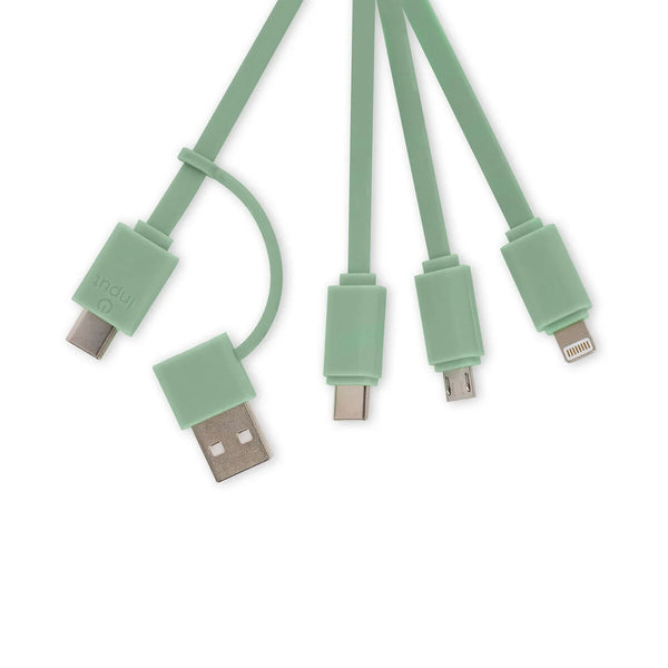 Cavo 6 in 1 di Ricarica Portachiavi Koala - Link Up